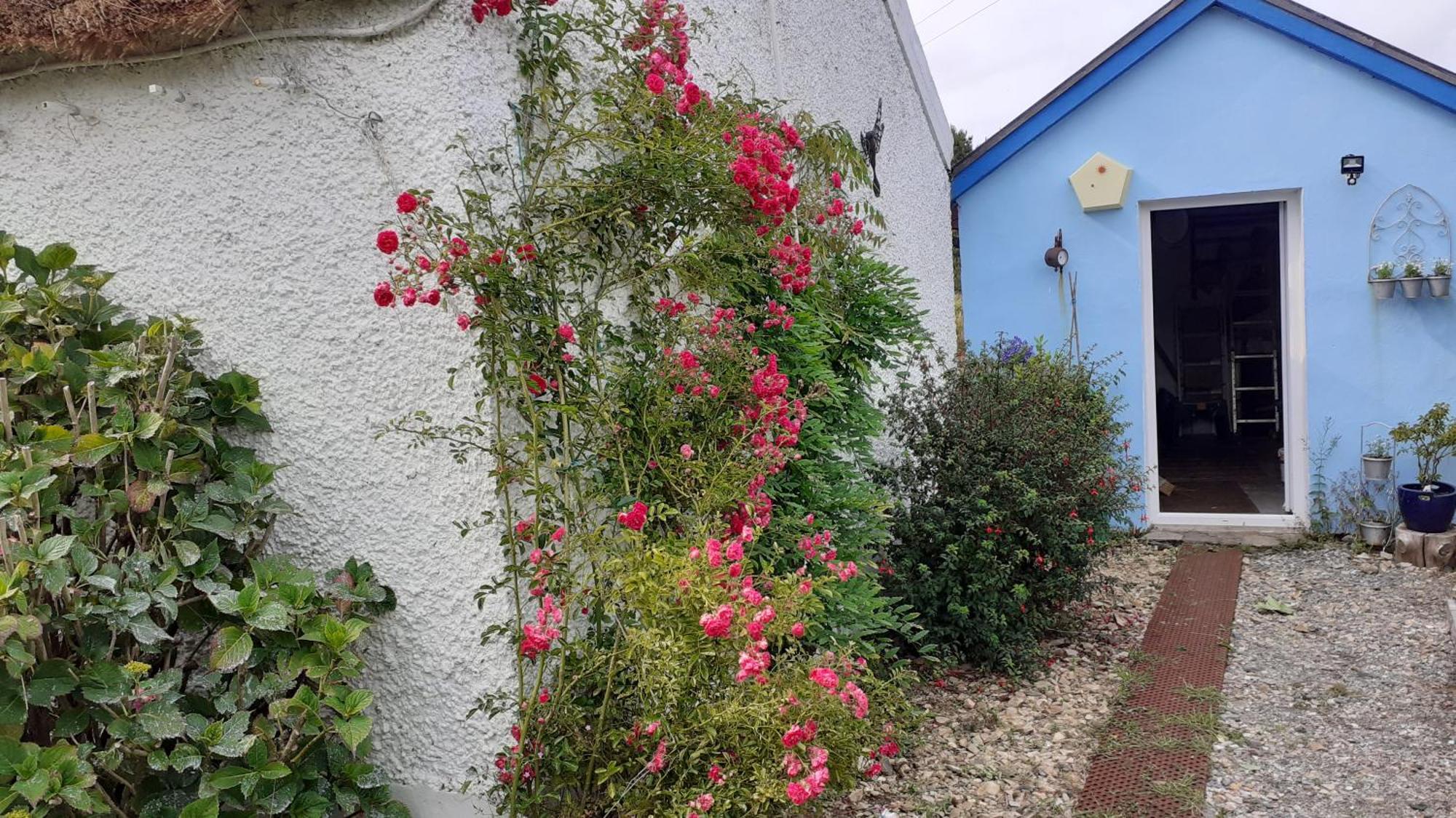 The Rockhouse - Cosy Stone Built Thatch Cottage Dungloe Exterior foto